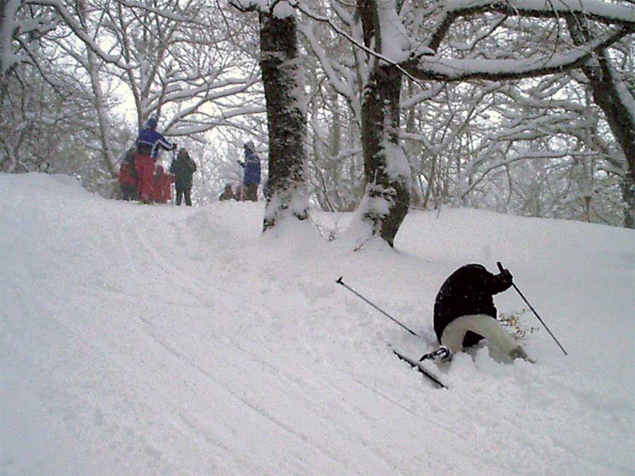 Quant'è bella questa neve! La voglio baciare!