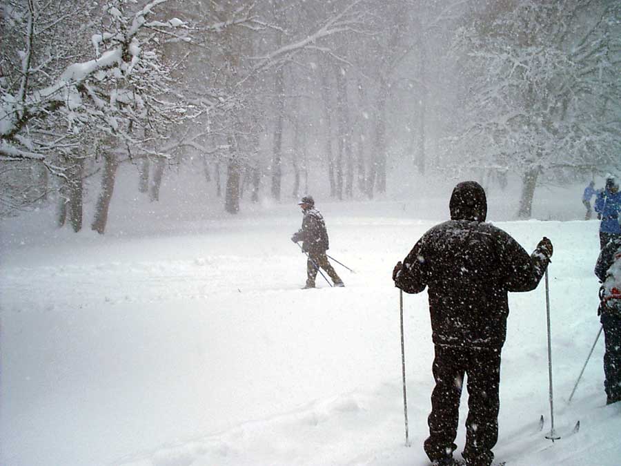 Umberto Cardinale  si avventura da solo.Lo ritroveranno alla fine della glaciazione.