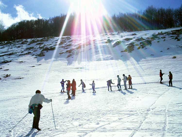 A  A  A  Abbronzatissimi    Sotto i raggi del sole