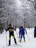 La neve è perfetta!