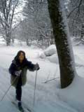 Anche Brunella si addentra nel Bosco. Attenta al lupo!