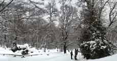 Tre bimbi giocano con la neve!